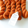 Clown Fish Wholesale Bag of 5