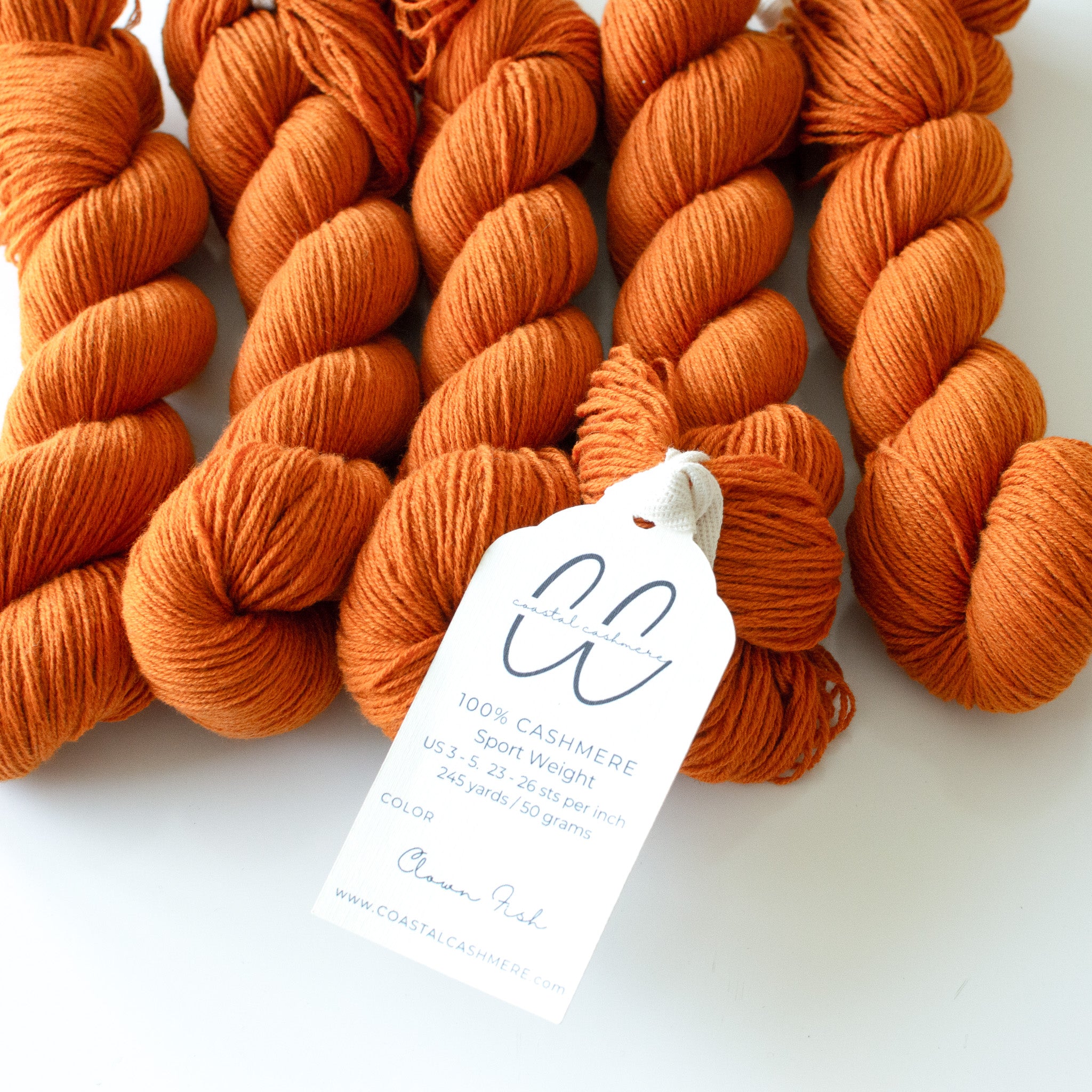 Wholesale Clown Fish Bag of 5