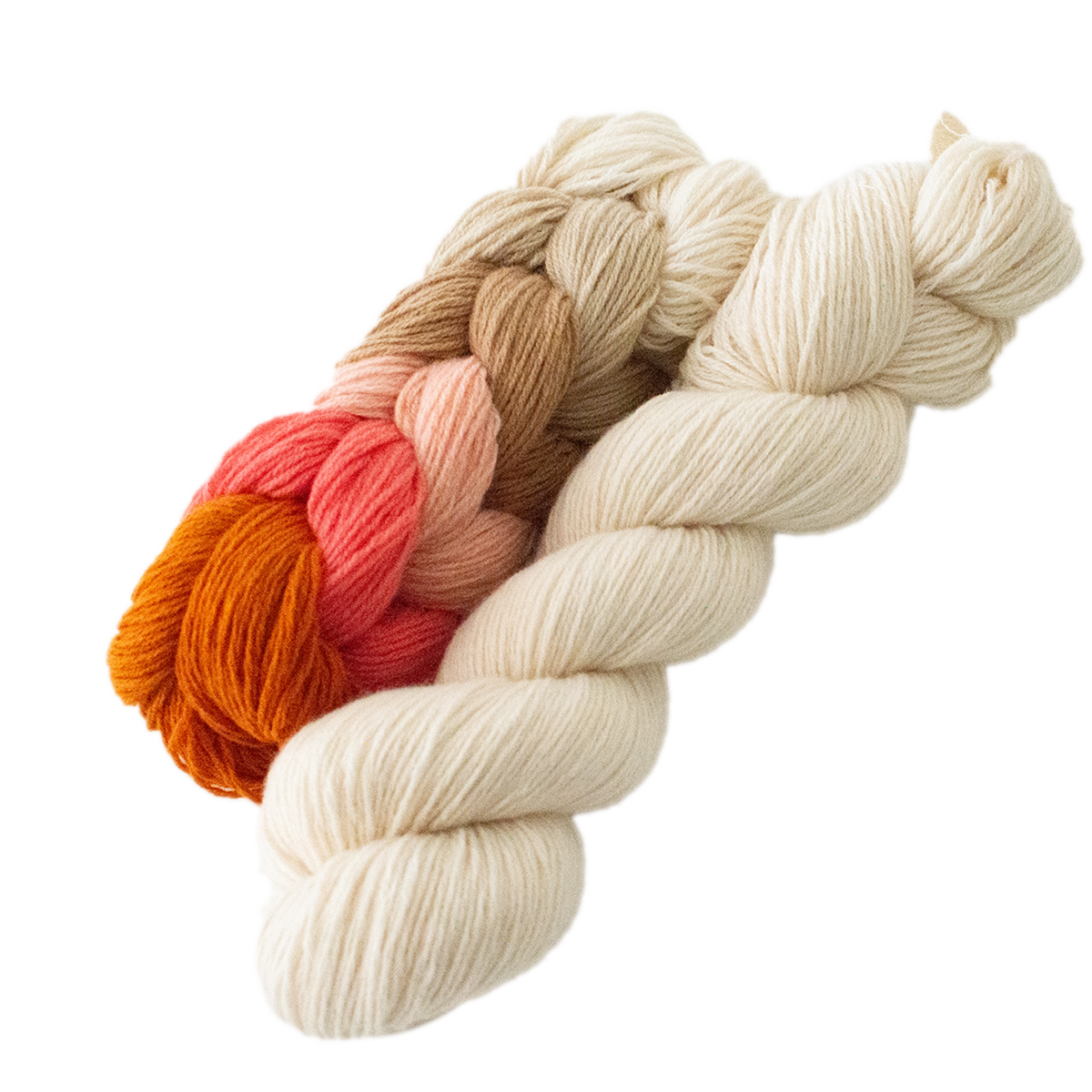 Fun + One Beach Picnic and Sand Dollar