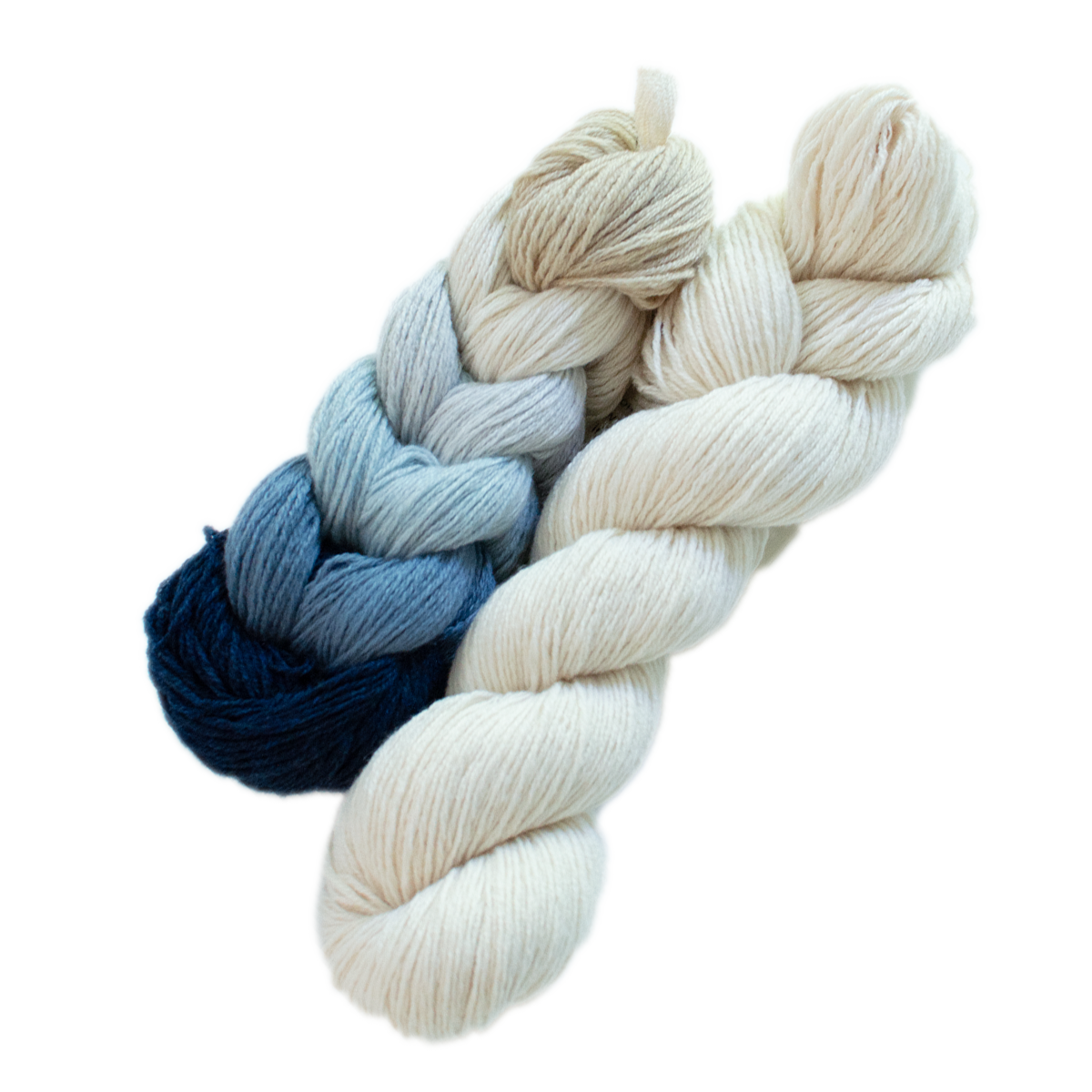 Fun + One Boardwalk and Sand Dollar