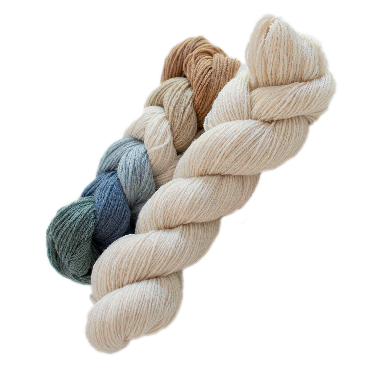 Fun + One Ferry Ride and Sand Dollar