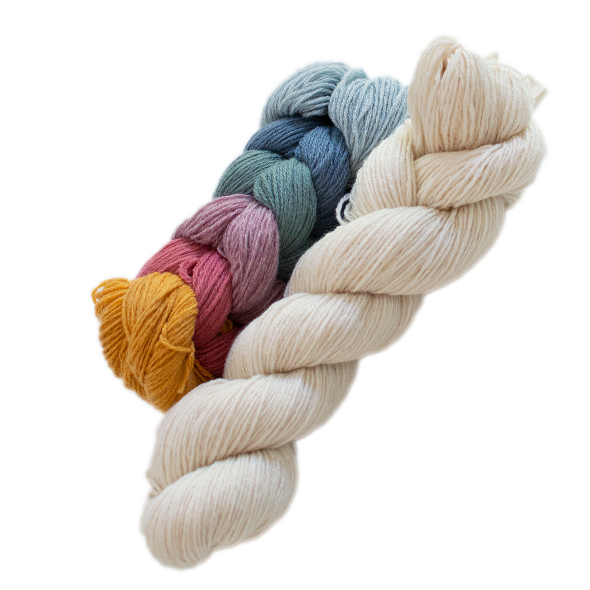 Fun + One Soft Rainbow and Sand Dollar