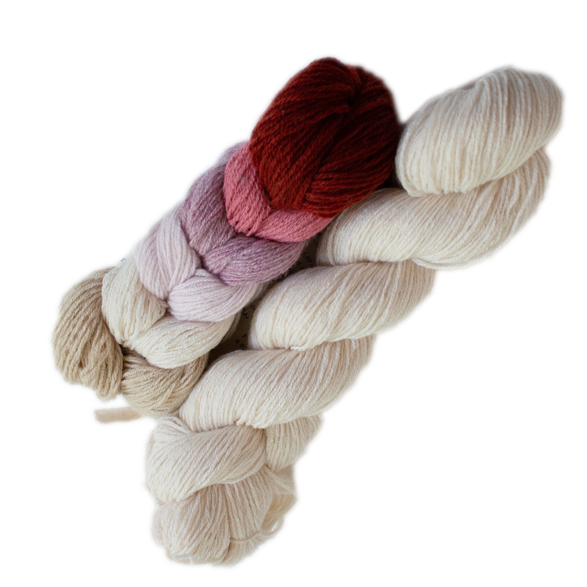 Fun + One Sweet Shop and Sand Dollar