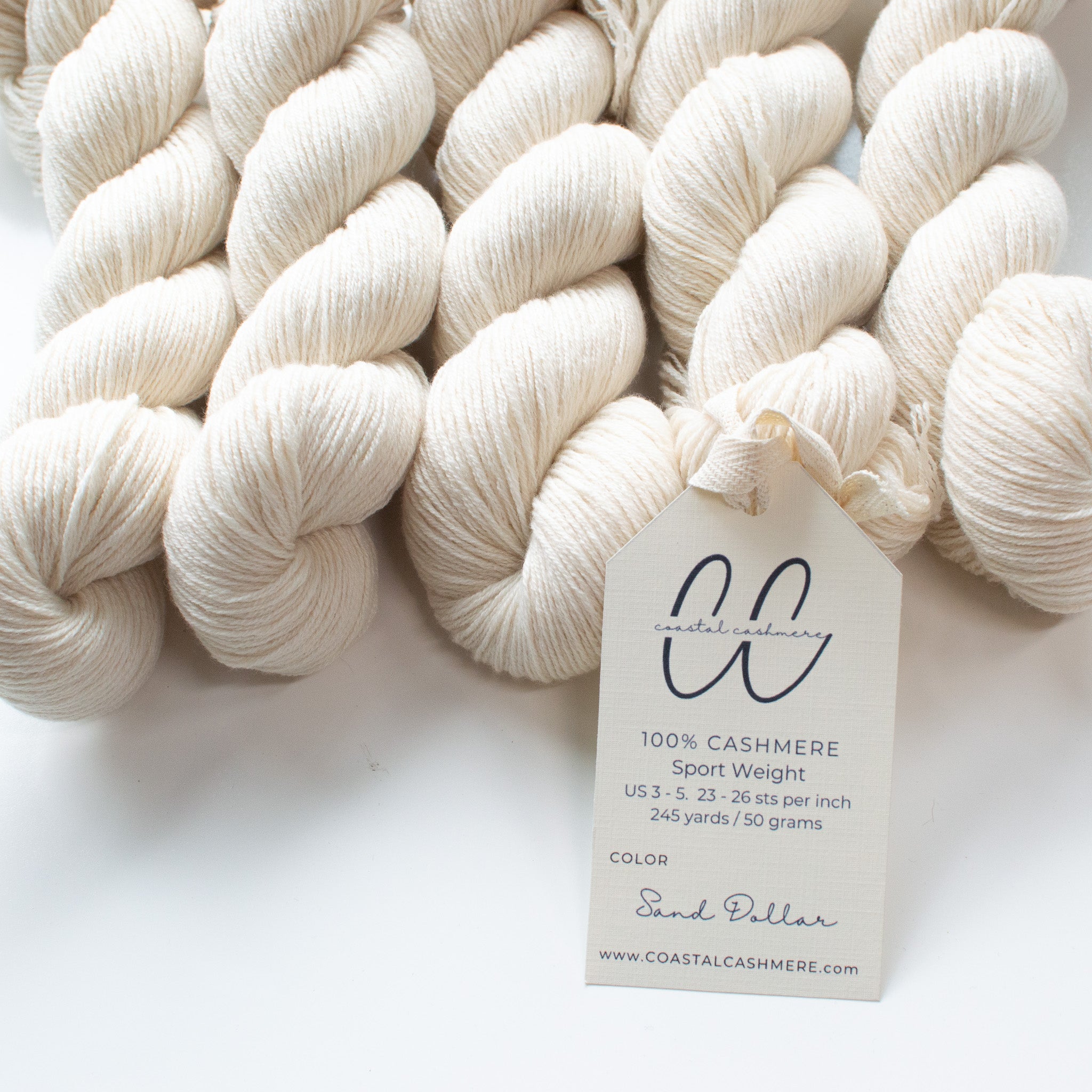 Sand Dollar Wholesale Bag of 5