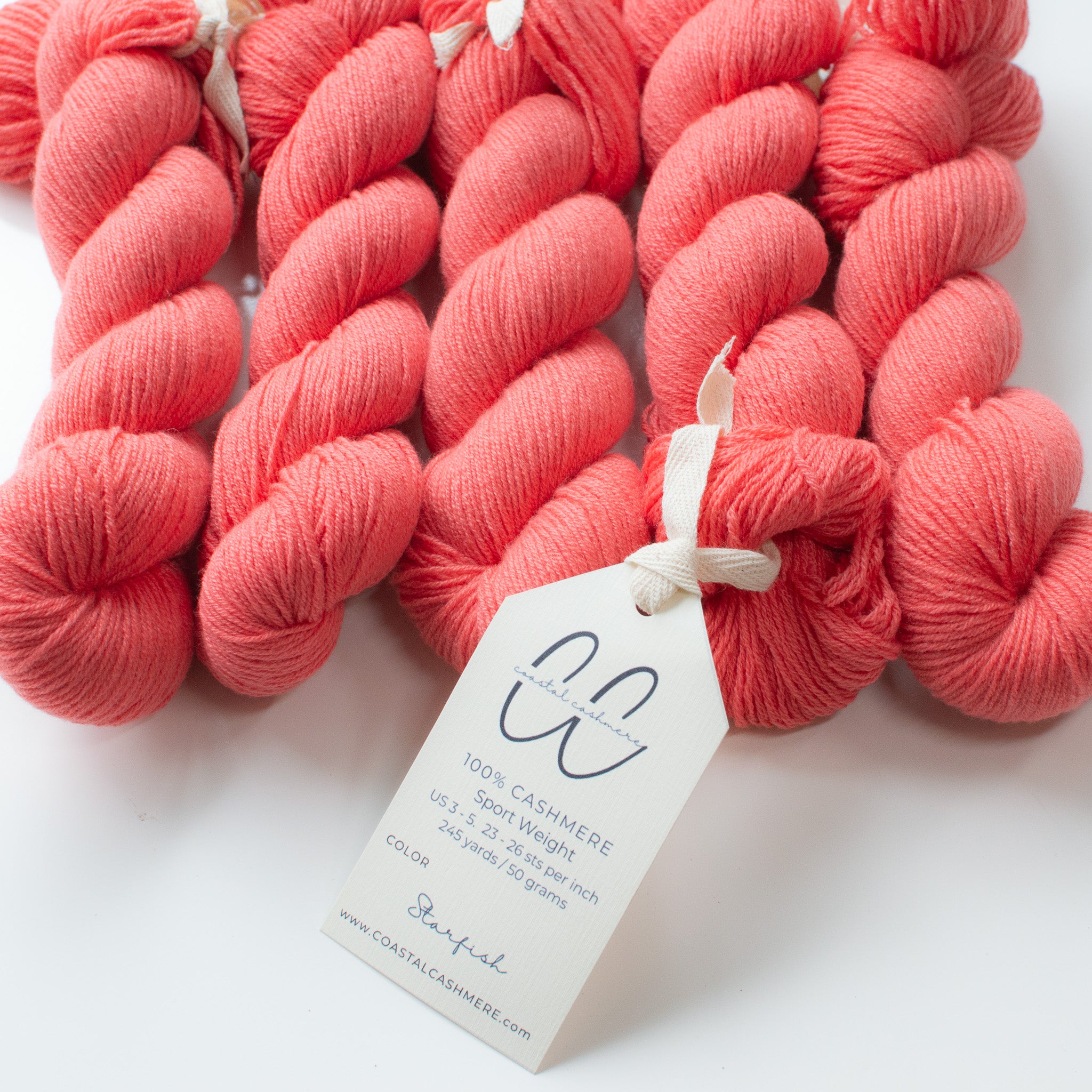 Starfish Wholesale Bag of 5